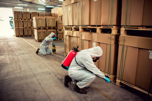 Trusted Woodbury, NY Pest Control Experts