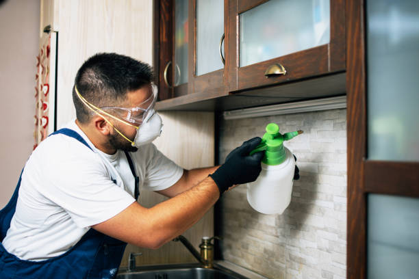 Best Exterminator Services  in Woodbury, NY